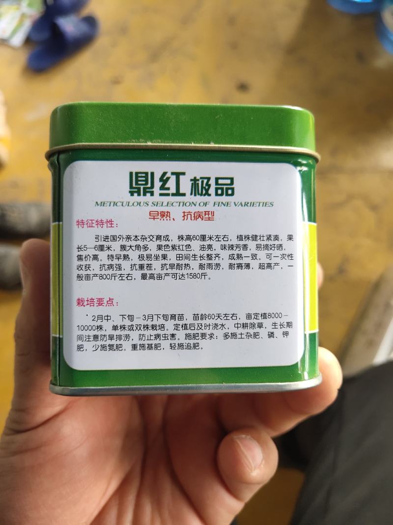 鼎红品朝天椒种子产量高辣度高抗病耐重茬早熟1500斤引进