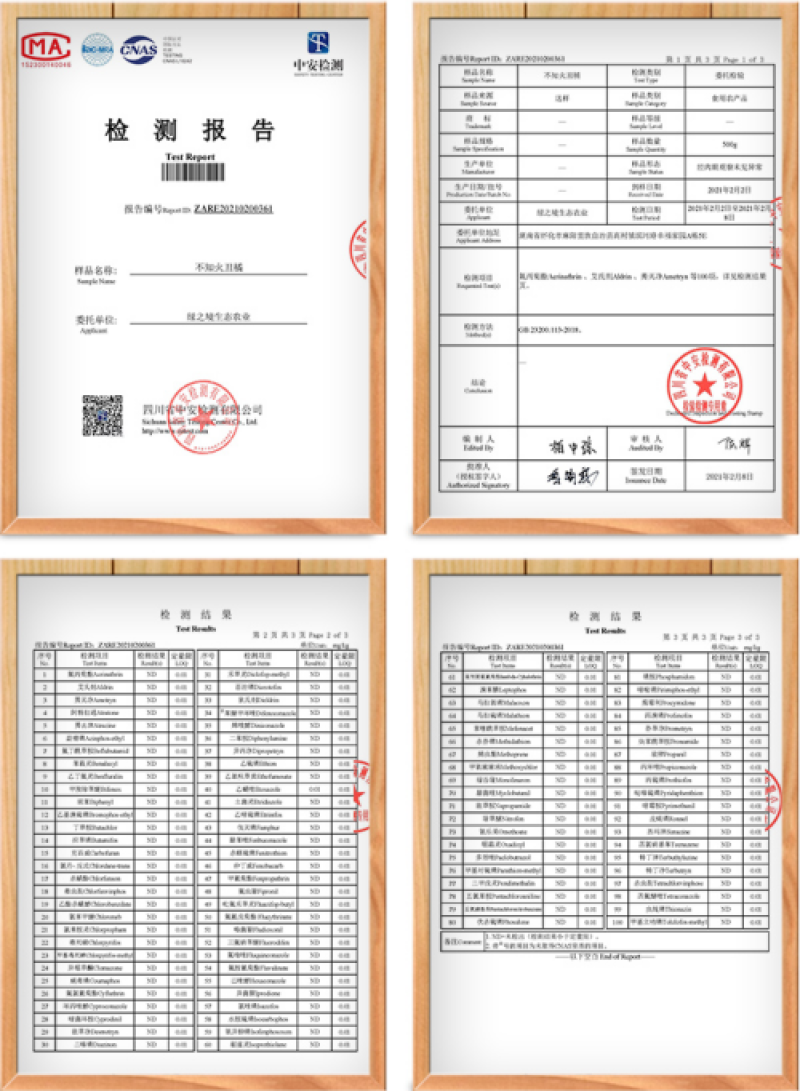 四川正宗精品丑橘不知火一件代发新鲜水果现摘现发