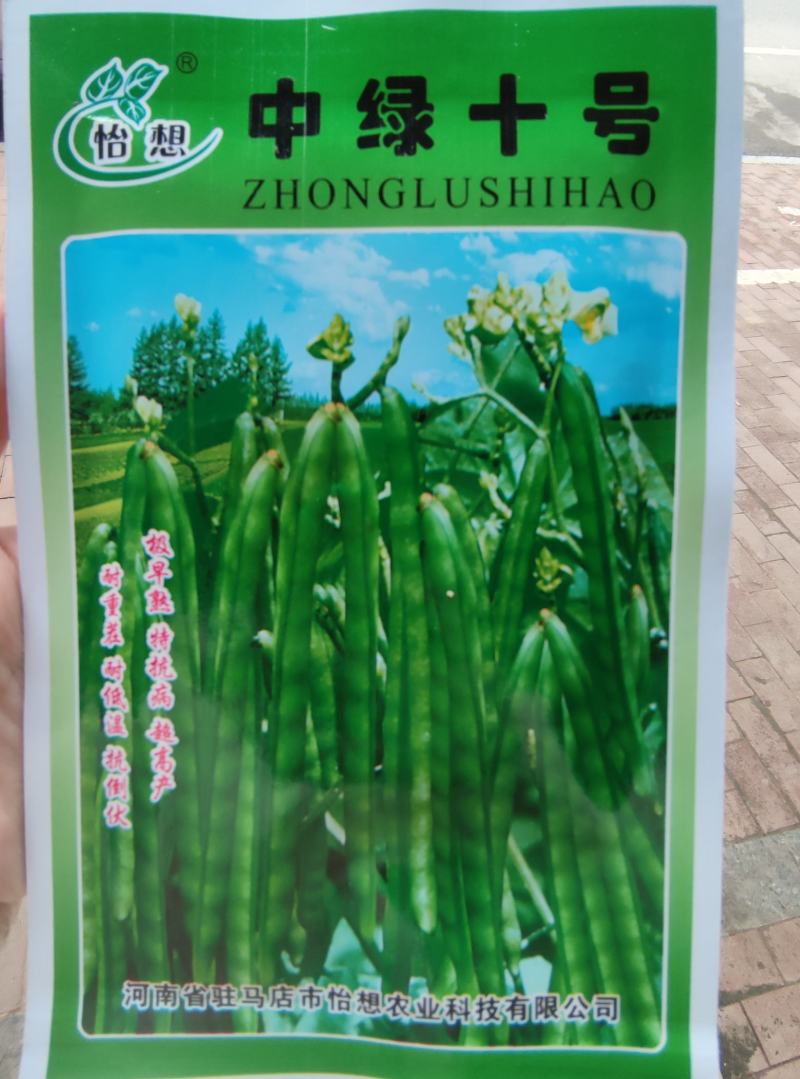 中绿十号绿豆种子50克，耐旱耐高温成熟一致不炸荚