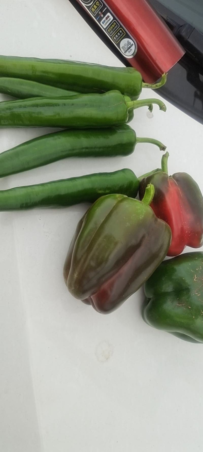 圆椒，西椒，菜椒
