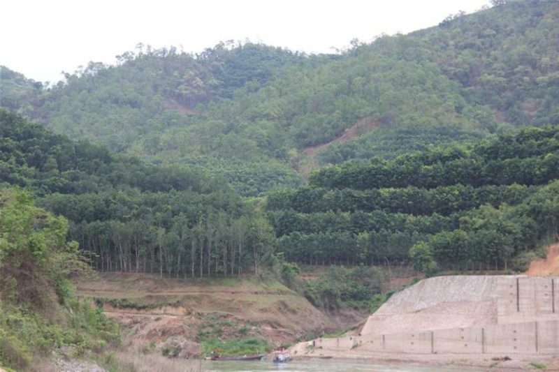 源头批发曼松普洱茶生茶200克2019年
