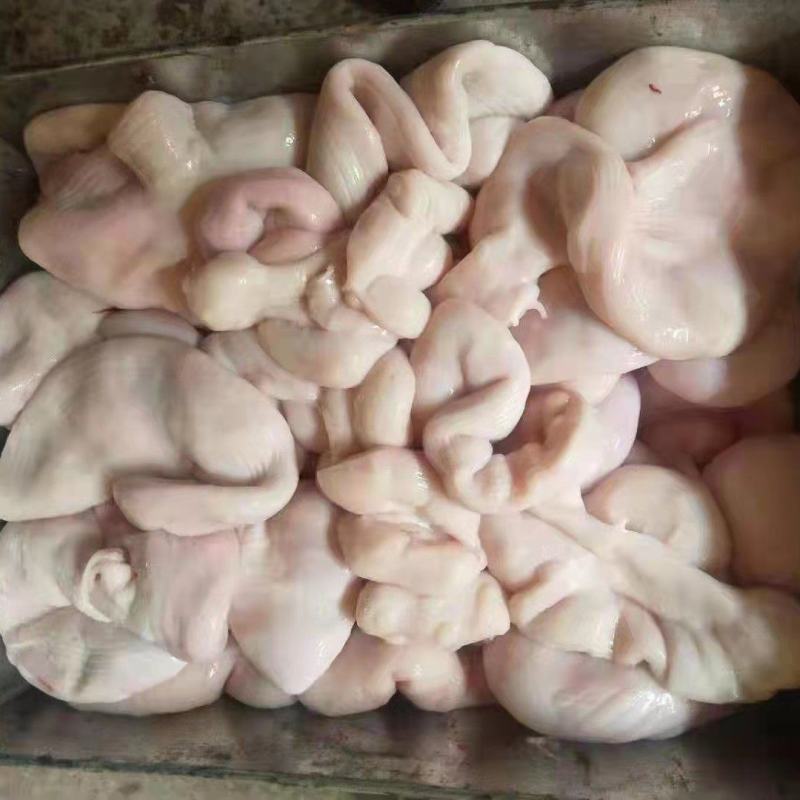 母猪小花肠