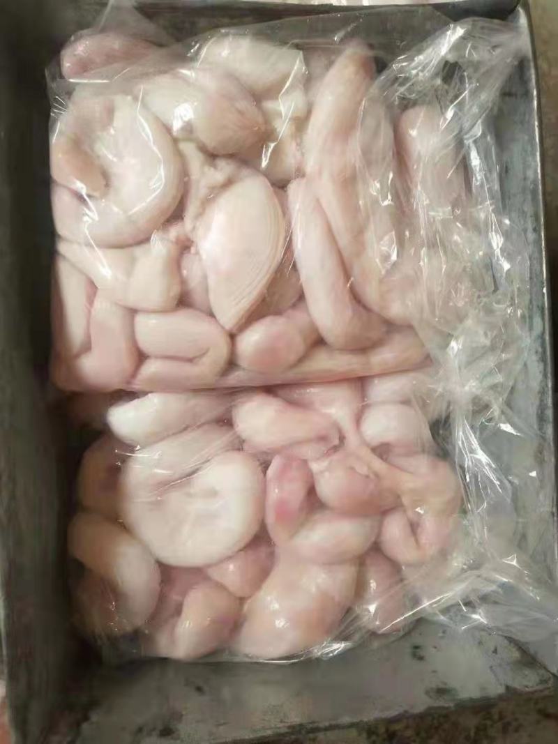 母猪小花肠