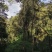 源头批发易武天门山饼茶357克源寶號普洱茶生茶饼