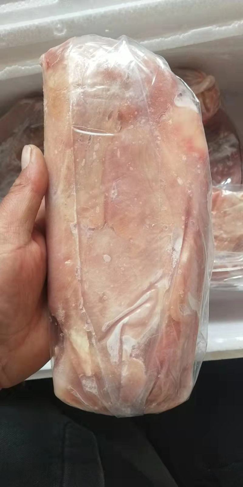 牛扇骨