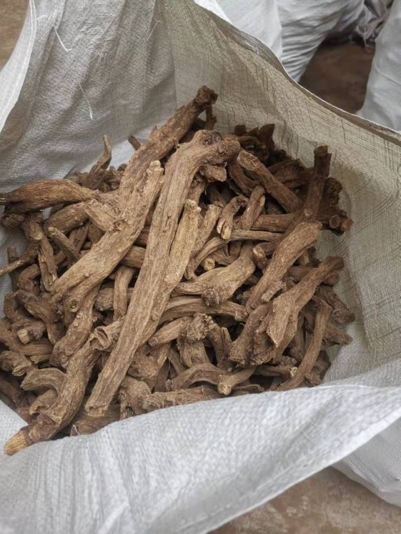 木香片木香产地直销！有圆片，有斜片。量大可优惠。