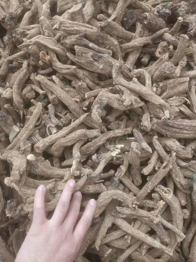 木香片木香产地直销！有圆片，有斜片。量大可优惠。
