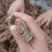 木香个木香常年大货量大从优片子四川统货