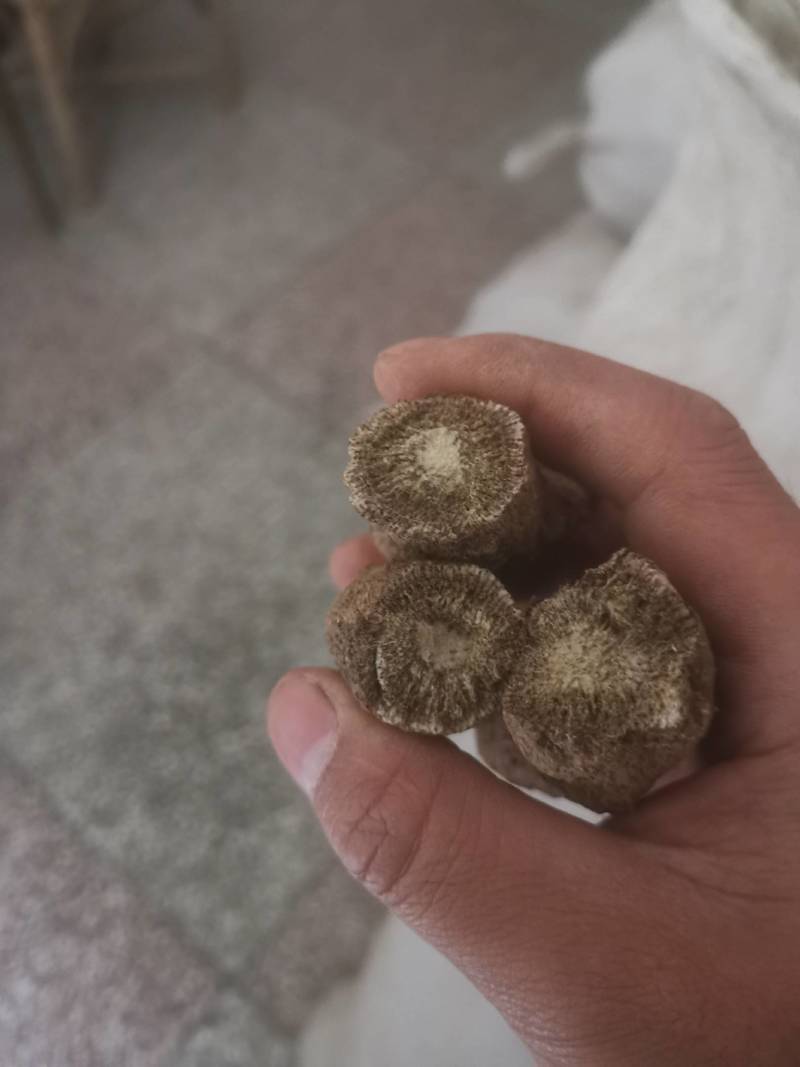 木香个木香常年大货量大从优片子四川统货