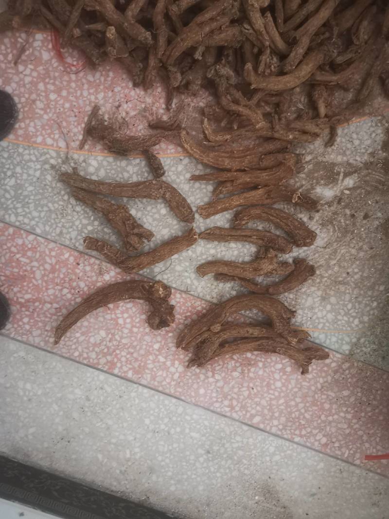 木香个木香常年大货量大从优片子四川统货