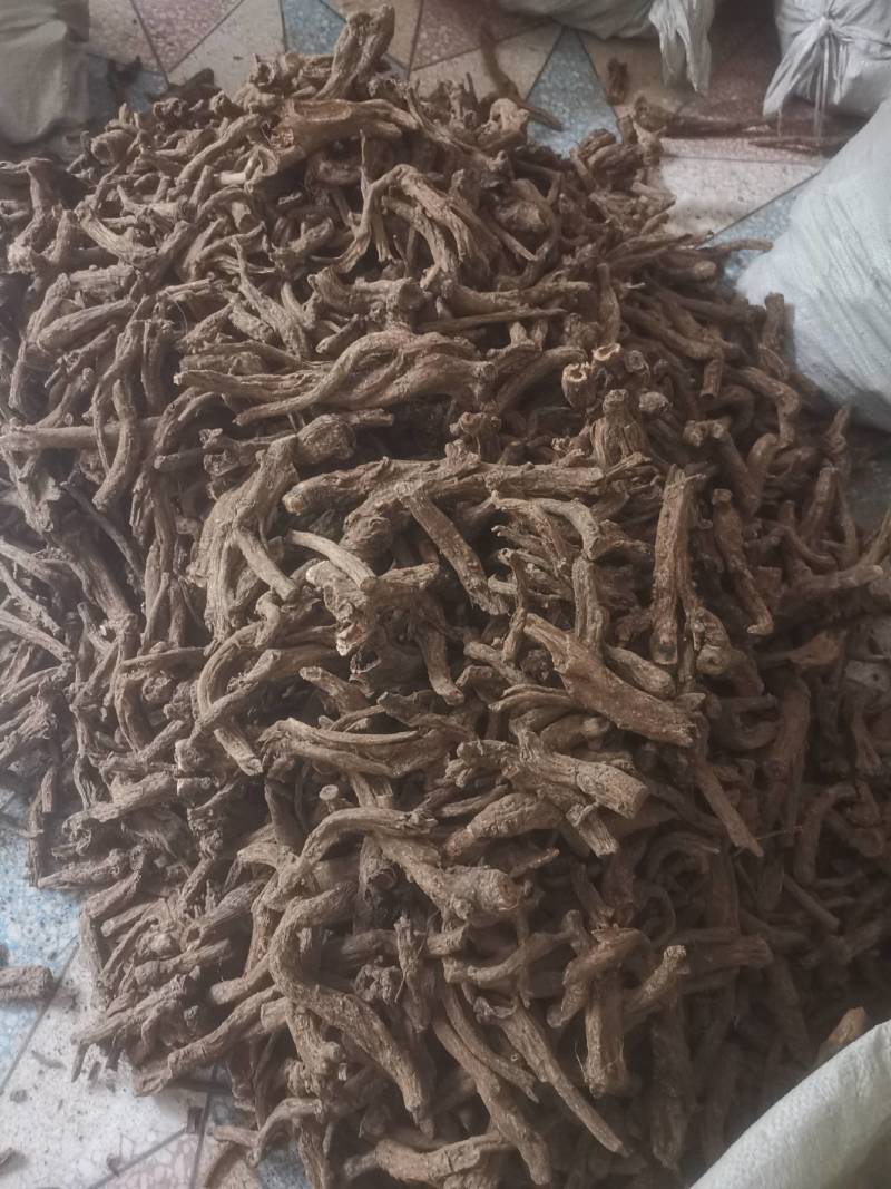 木香个木香常年大货量大从优片子四川统货