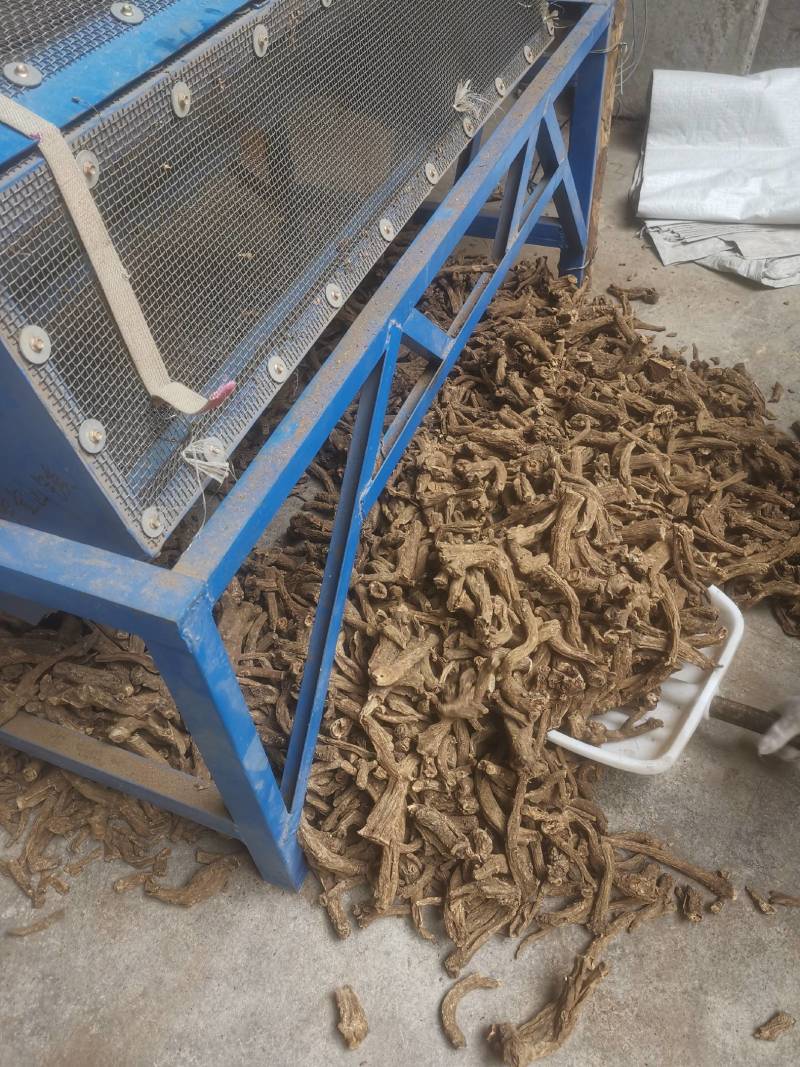 木香个木香常年大货量大从优片子四川统货