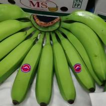 精品香蕉，菲律宾进口，青蕉有货，价格实惠，欢迎。