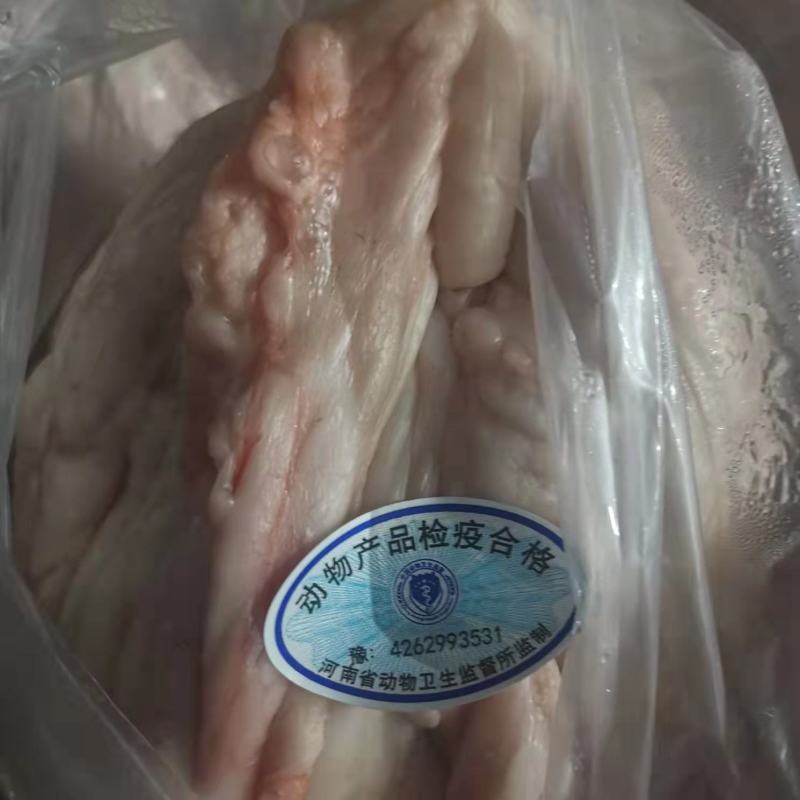 母猪吊挂板油