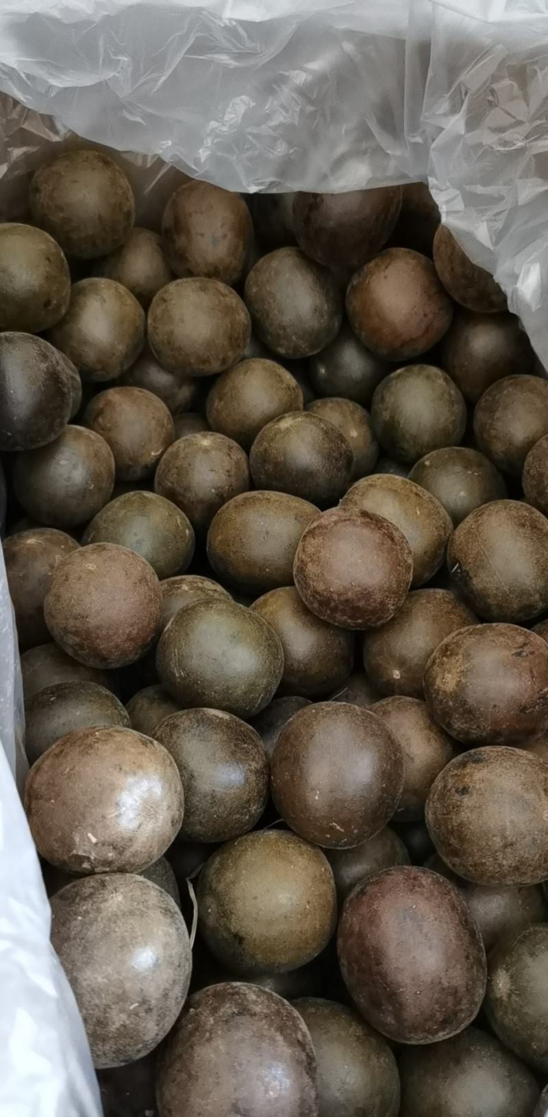 广西桂林罗汉果产地批发