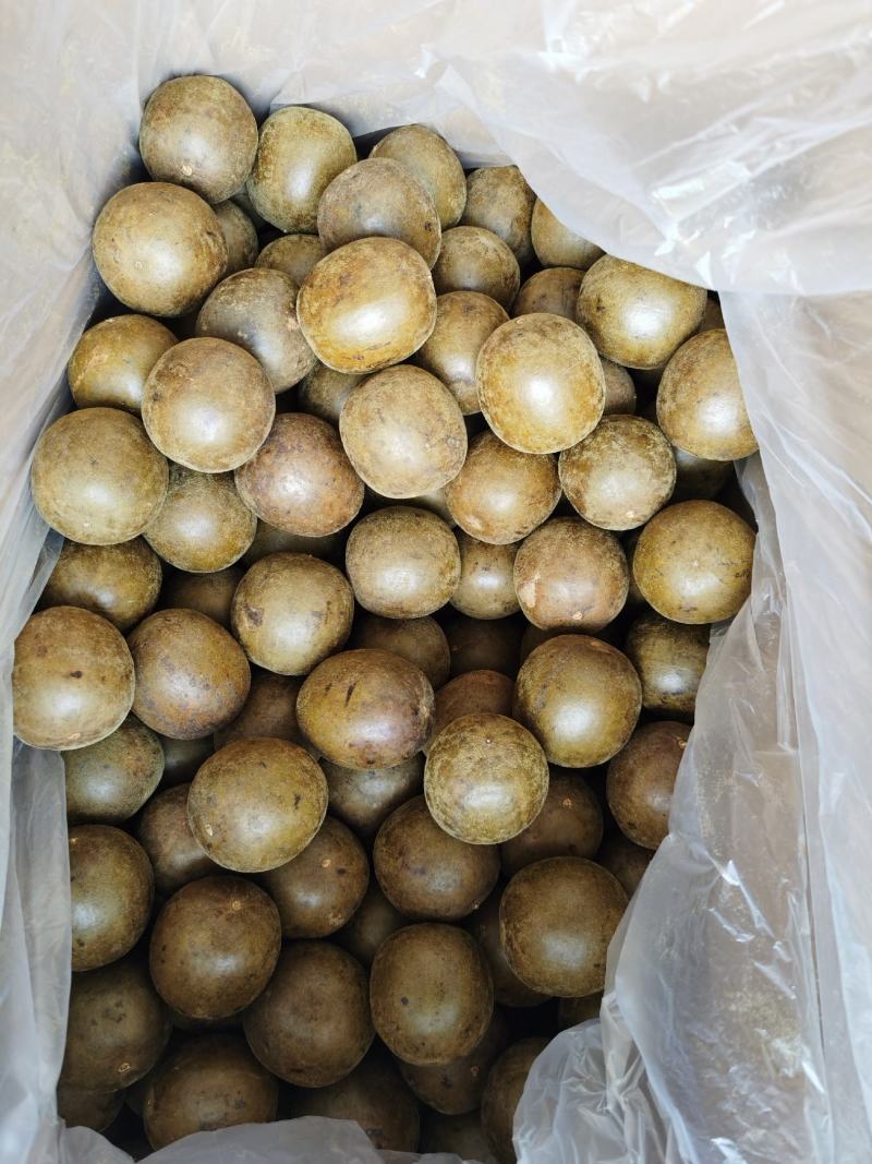 广西桂林罗汉果产地批发