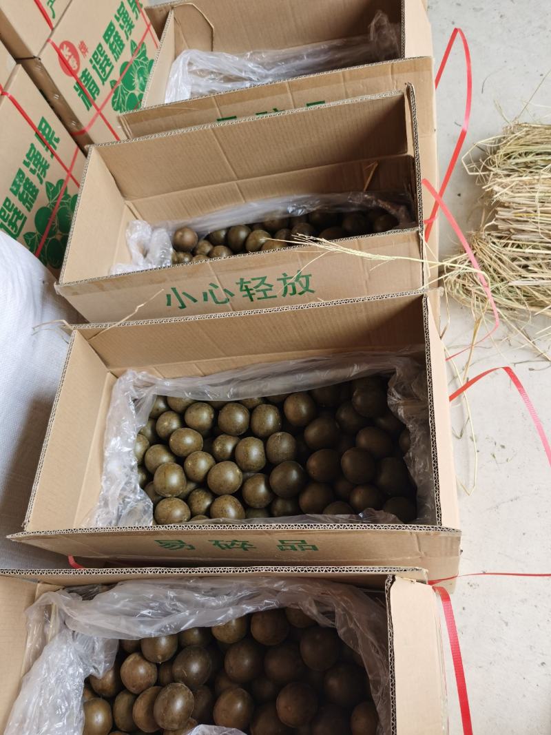 广西桂林罗汉果产地批发