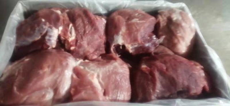 母猪四号肉