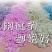 洗衣留香珠超香洗衣服衣物长久留香香水颗粒增香柔软除螨持久