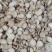 白芍干货切片量无硫量大从优
