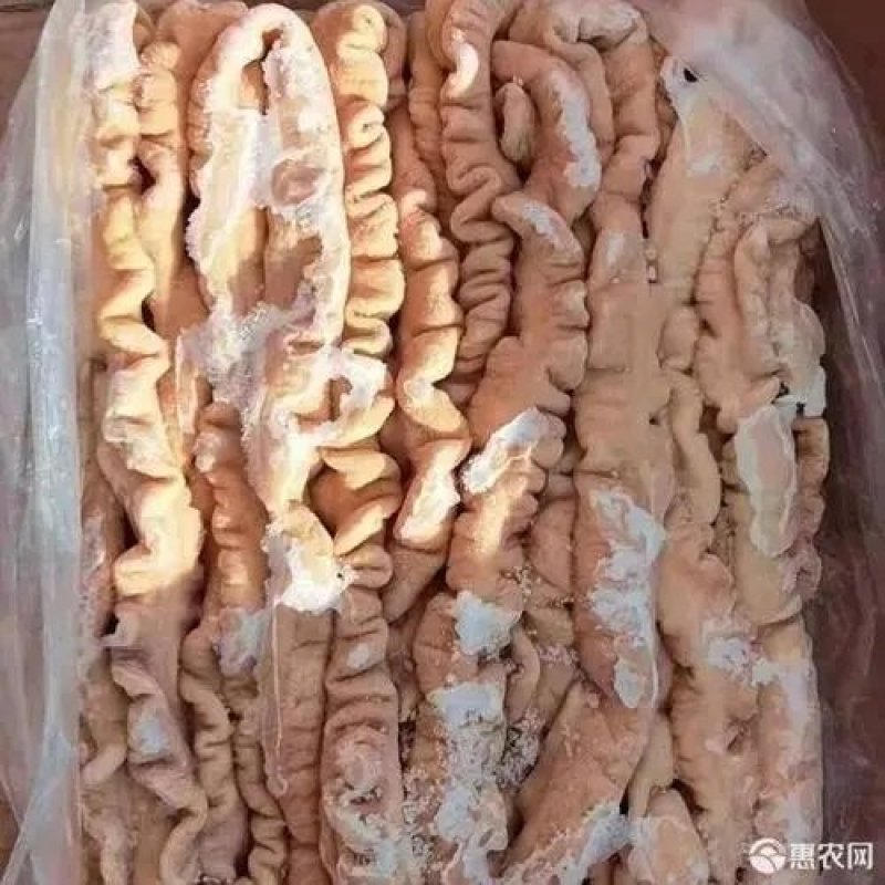 母猪预煮大肠