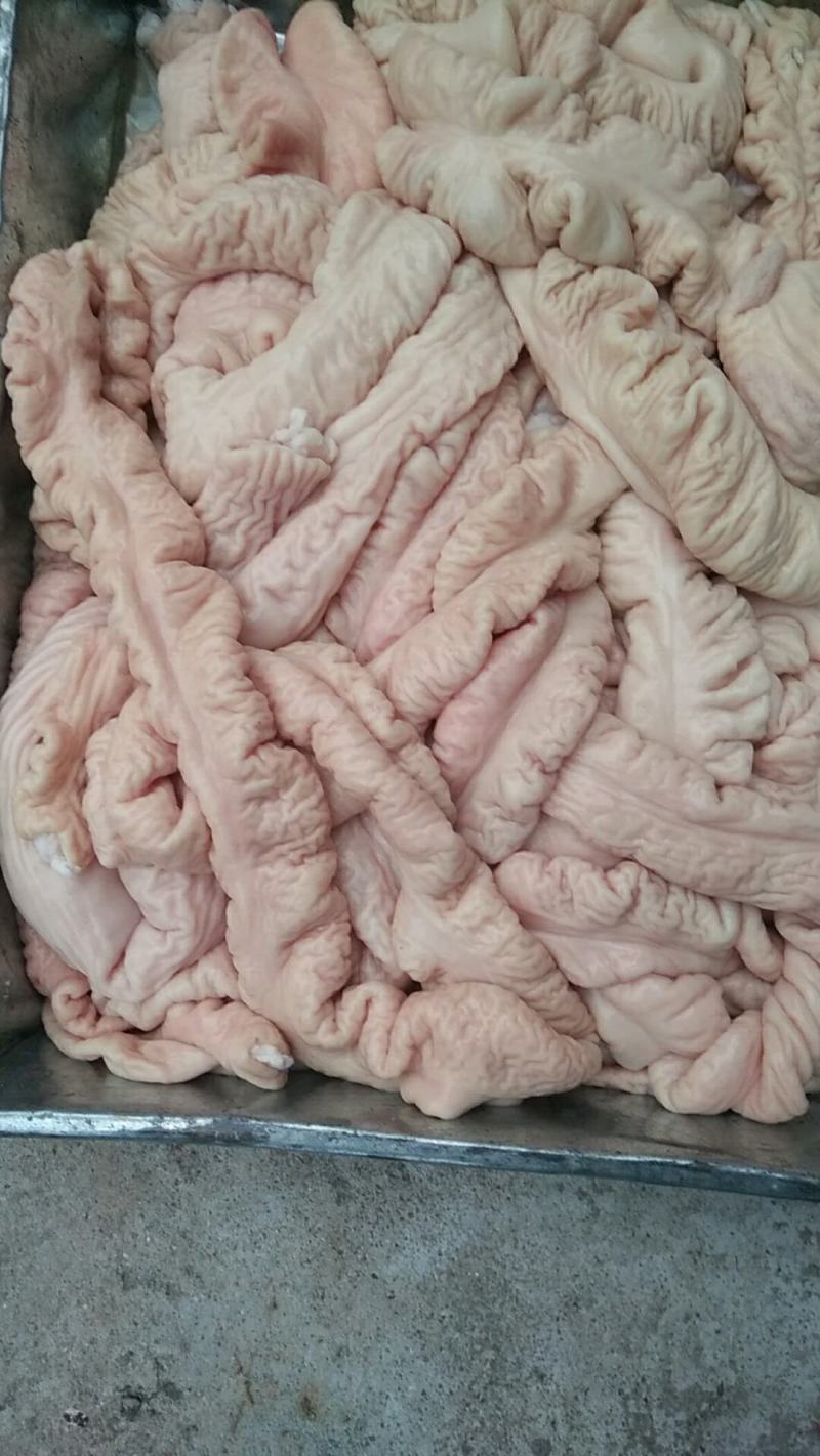 母猪预煮大肠