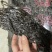 紫菜头水大饼菜没有中间商厂家一手货源欢迎采购