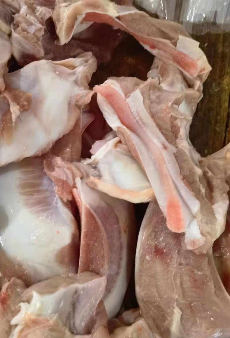 乳牛软骨，脆骨，月牙骨，厂家直销，血清脆骨