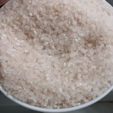 小粒香米