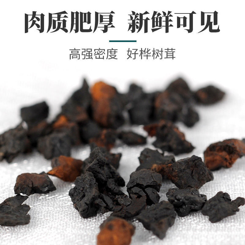 桦树茸俄罗斯进口野生正品500g桦褐孔菌白桦树茸黑金非吉