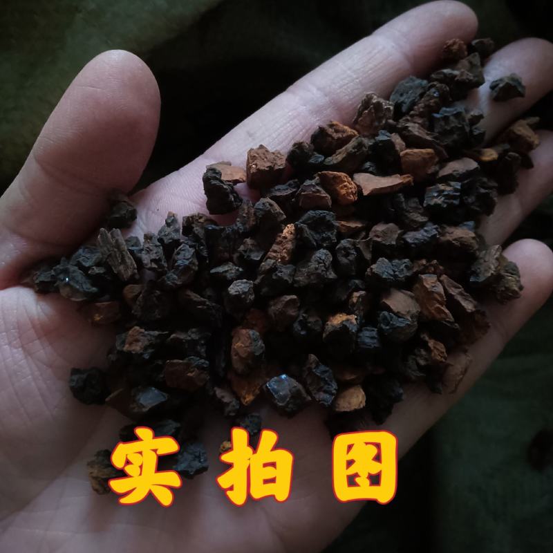 桦树茸俄罗斯进口野生正品500g桦褐孔菌白桦树茸黑金非吉