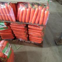 大头胡萝卜，加工厂，电商，市场超市，专用规格