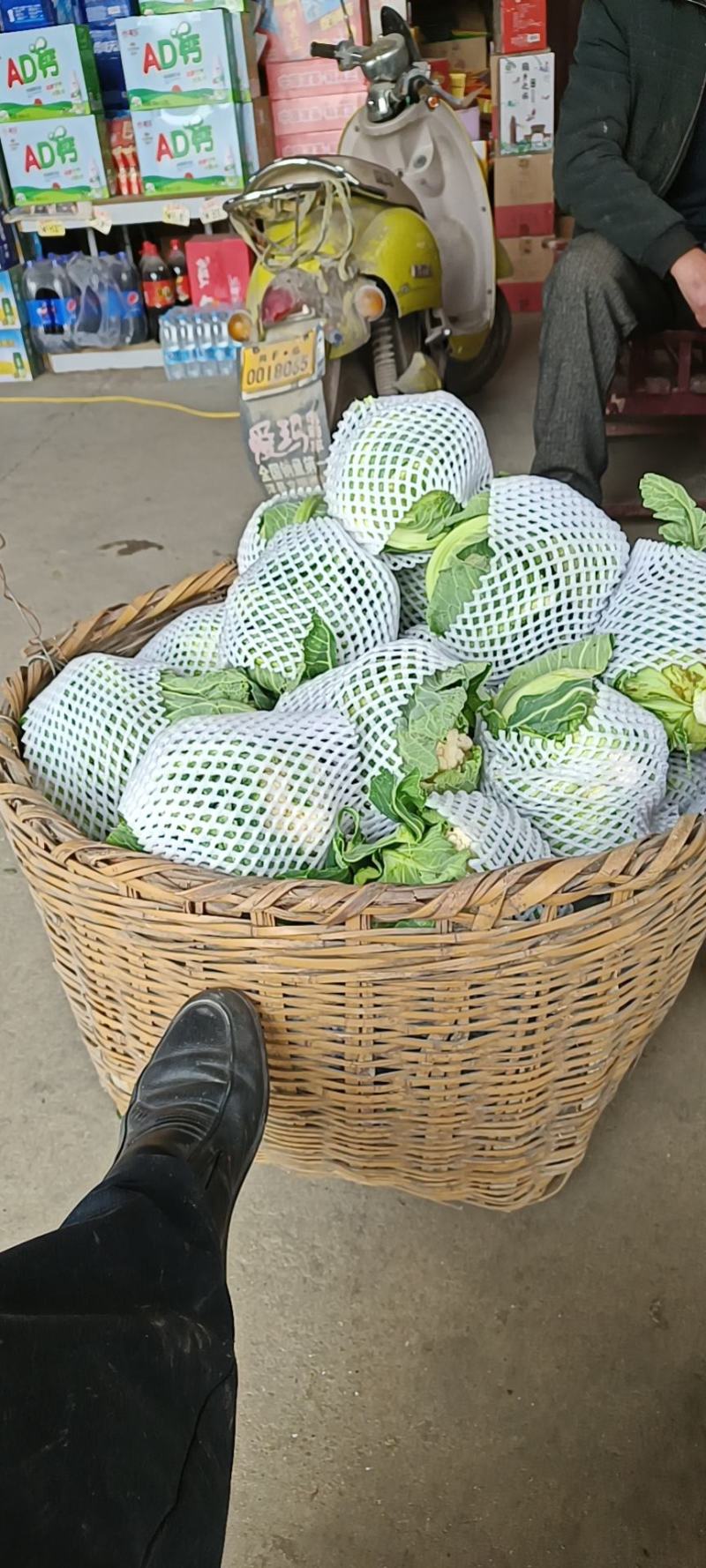 陕西汉中洋县菜花紧花2~3斤乳白有需要的朋友请及时联系