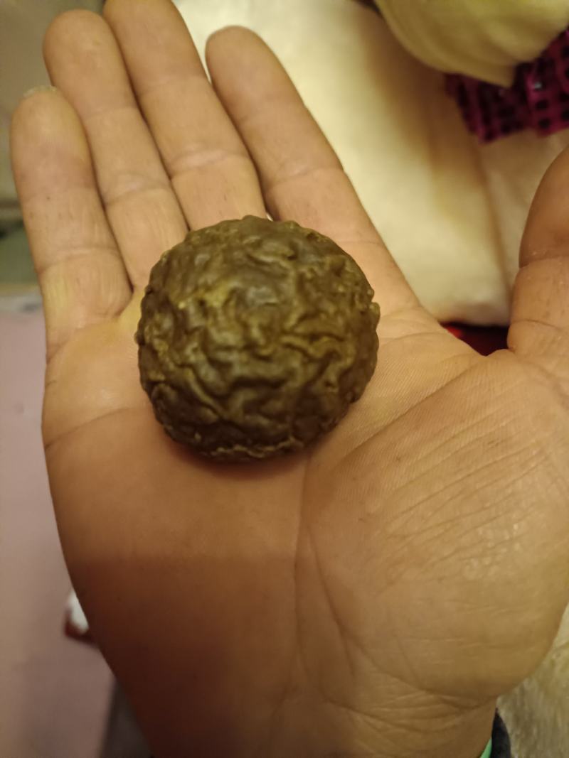羊结石