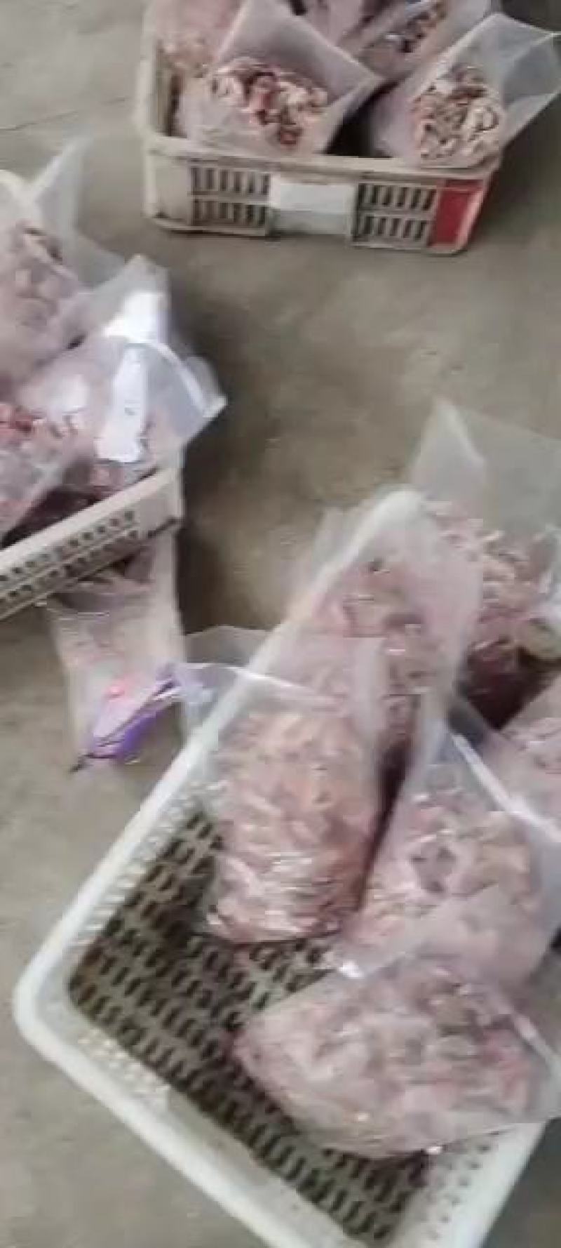 青蛙大腿，后腿，青蛙