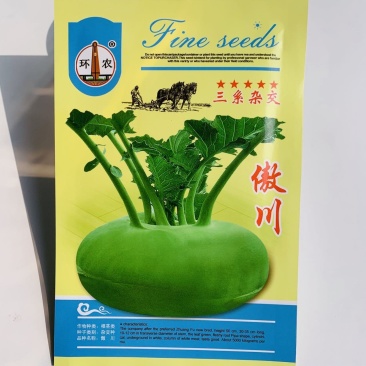 球面光滑扁圆形苤兰种子三系杂交青苤蓝种子春秋两用早熟品种