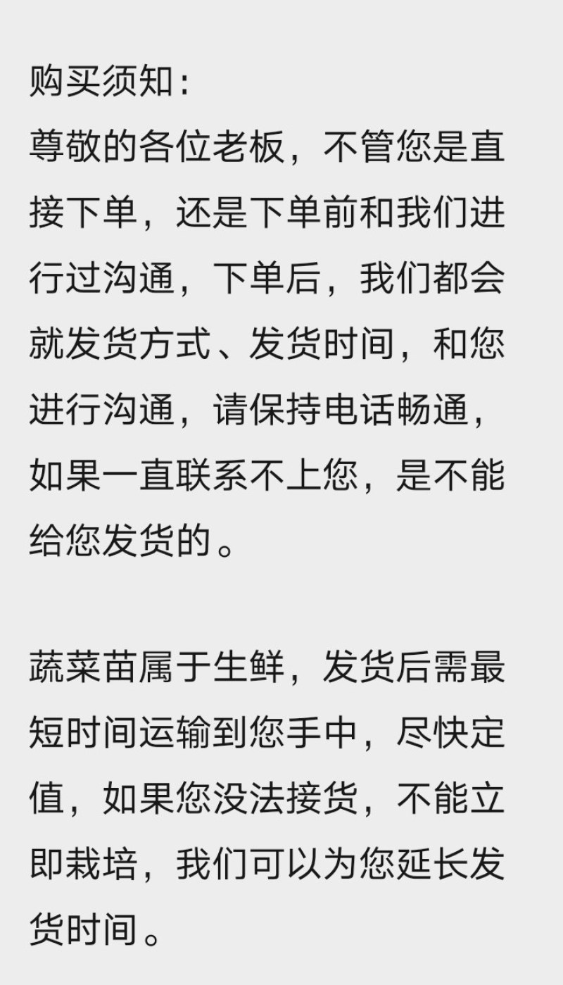 硬粉西红柿苗大粉番茄苗秋延越冬早春西红柿苗番茄种苗