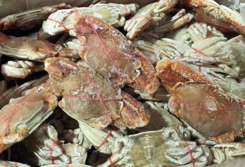 扁蟹肉蟹来自大海肉质紧实鲜甜弹牙
