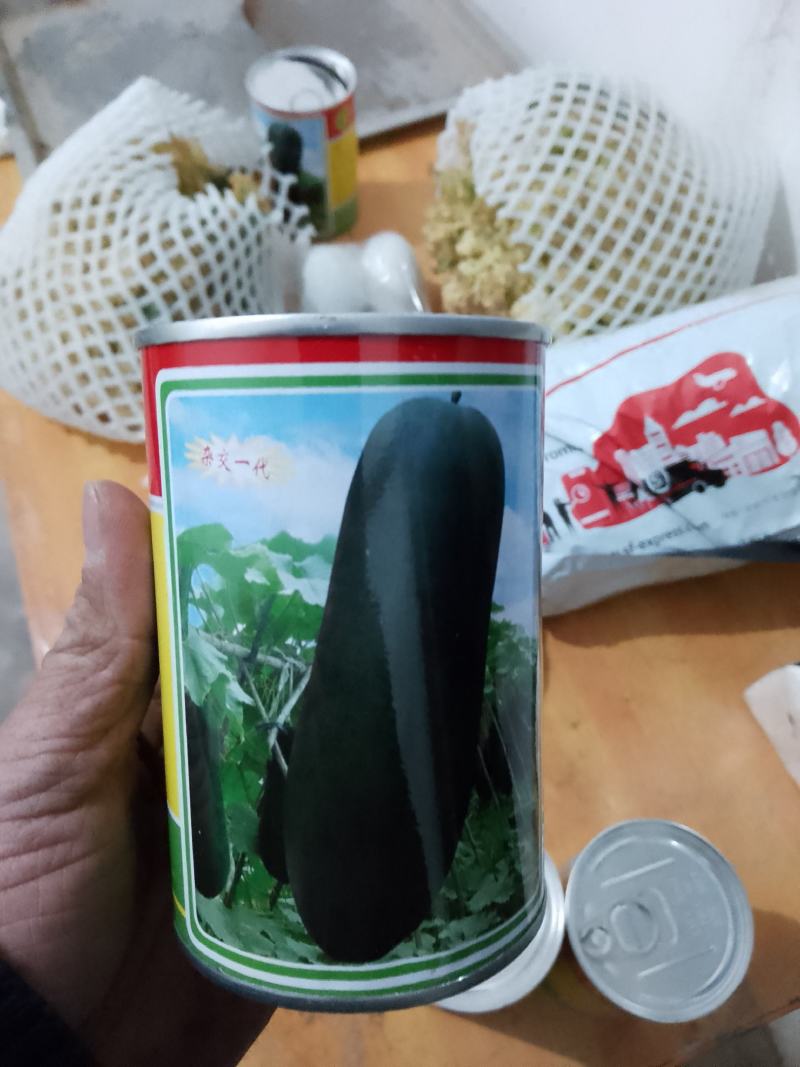 冬瓜种子火箭炮，冬瓜过的都说好，才是真的好？