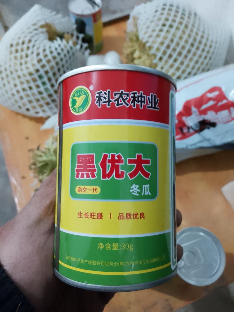 冬瓜种子火箭炮，冬瓜过的都说好，才是真的好？