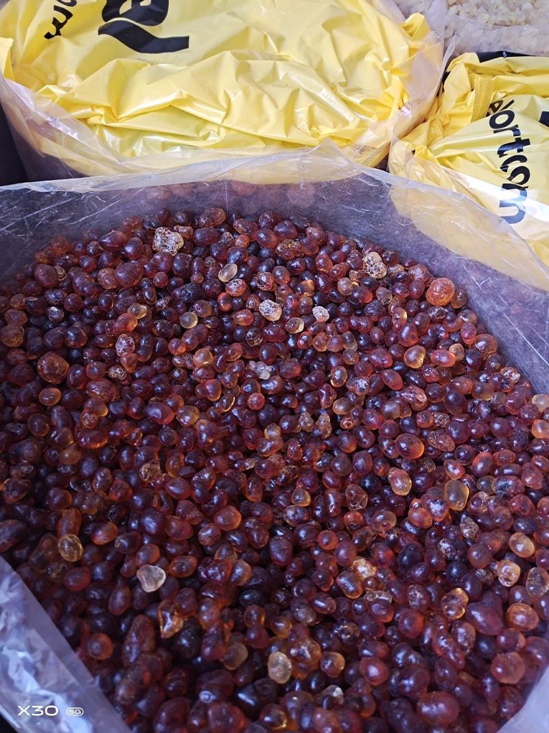 桃胶无硫桃胶规格齐全量大从优批发零售桃胶
