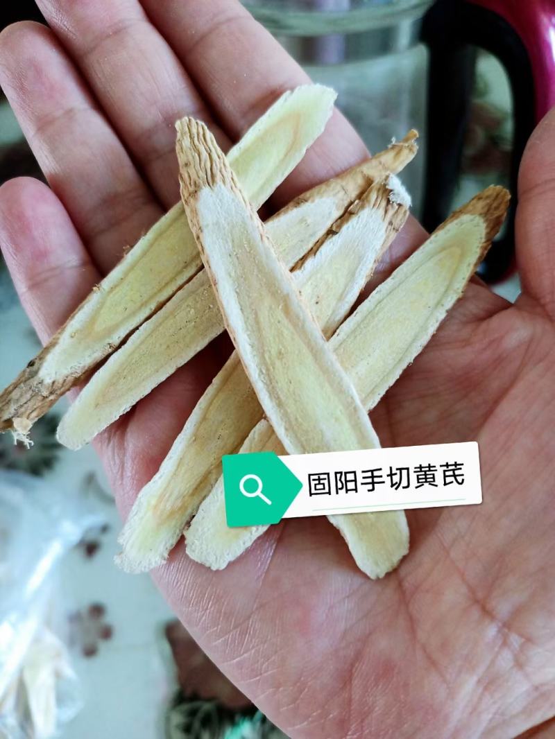 内蒙古黄芪