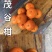 茂谷相