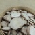 正品白芍中药材500克白芍片野生白勺中药粉白芍粉白术白茯