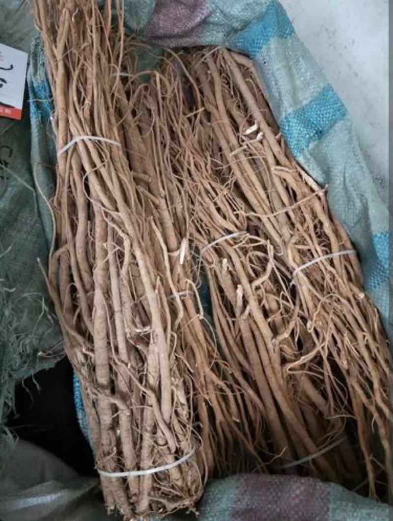 海南40年老胡椒根