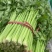 芹菜、精品西芹60~70大量供应、保证质量、诚信经营
