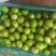 广东湛江雷州青蜜枣
