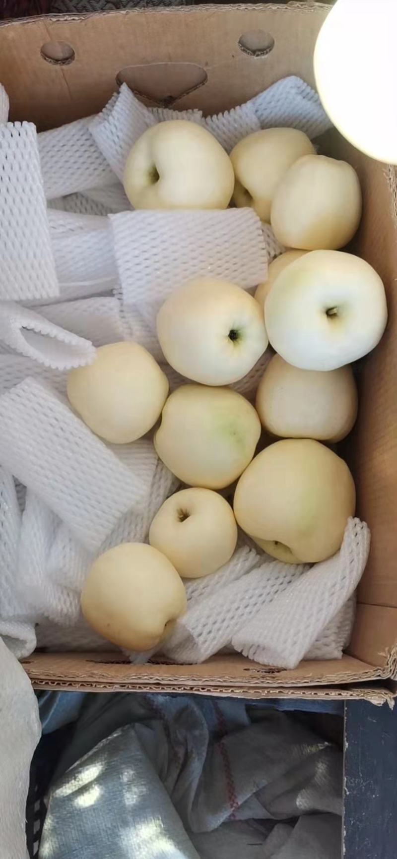 七五以上货好价格低纸袋，套网都有精品超市货需要的联系