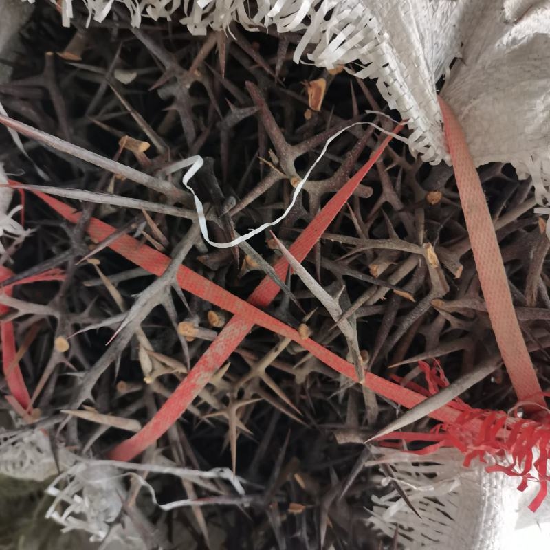 皂角刺，产地直销，需要的朋友可以联系我。