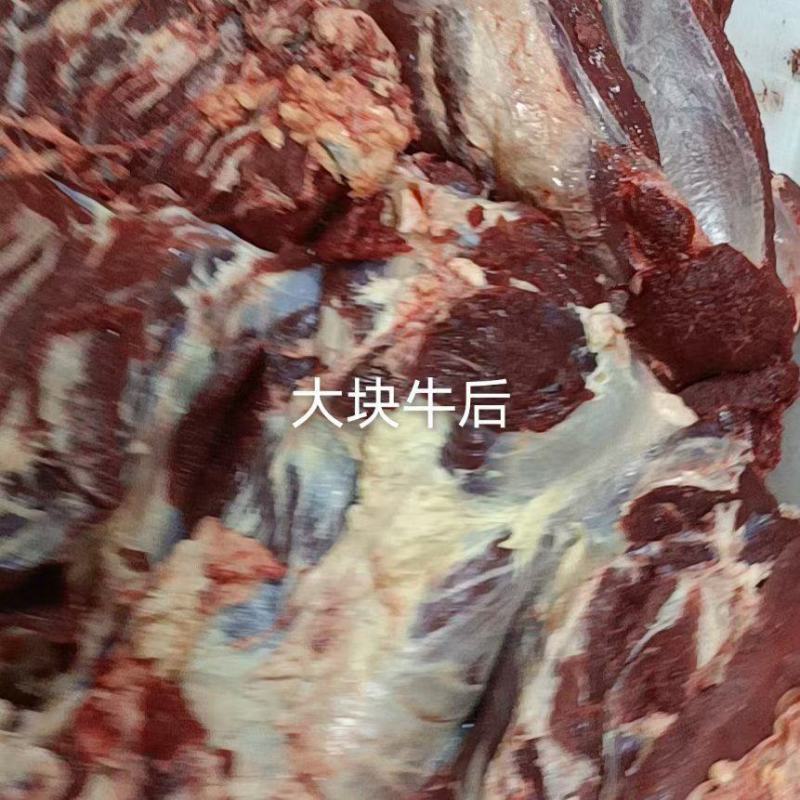 【推荐】牛肉，色泽鲜明，量大从优，常年供货，质量保证